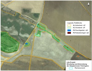 GIS-Karte mit Feldblöcken