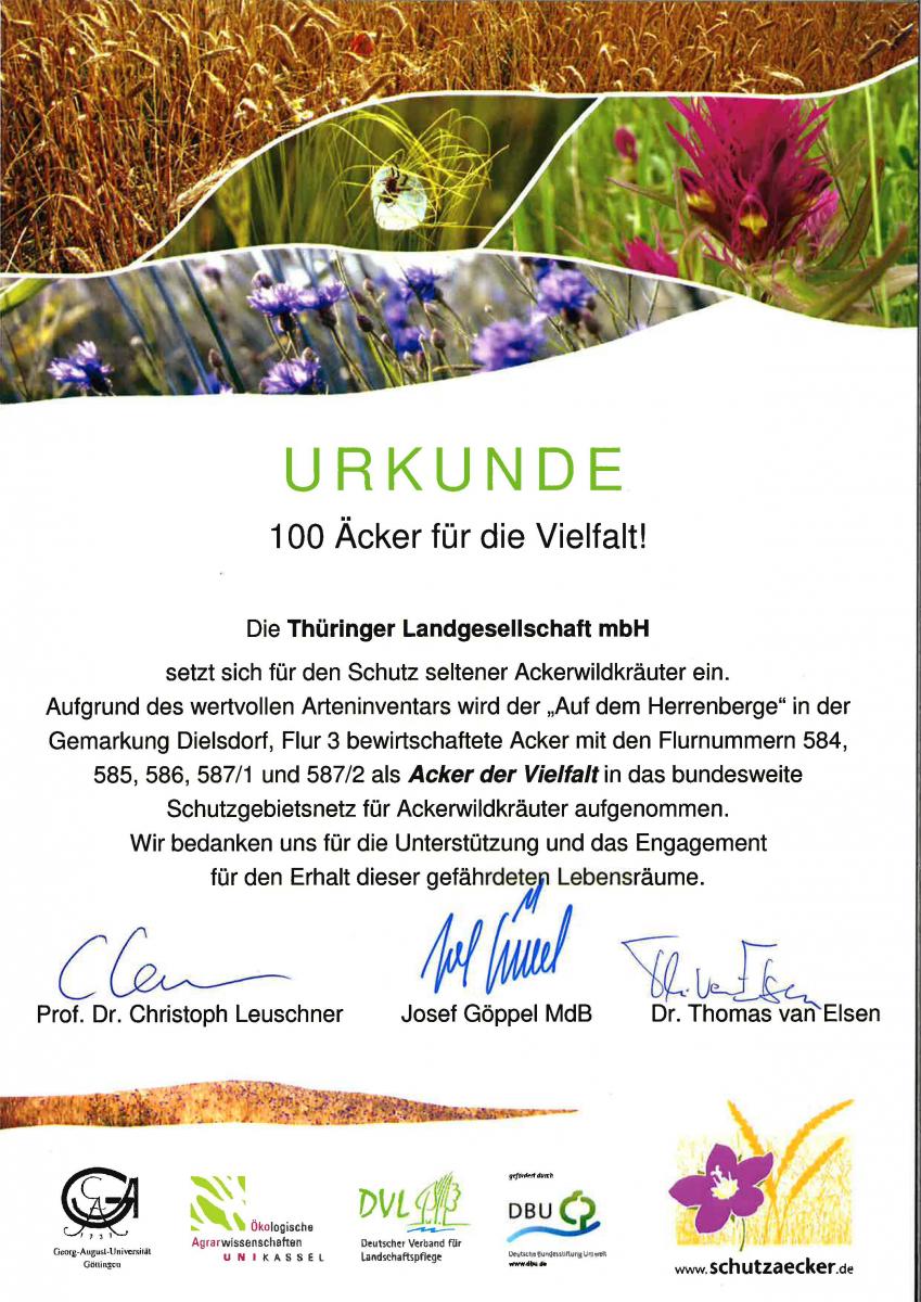 Urkunde 100 Äcker